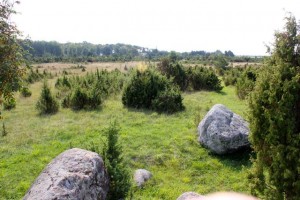 paesaggio di Saaremaa